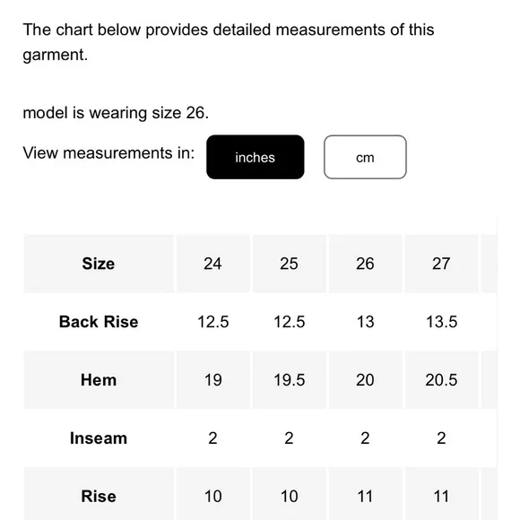 ALEXANDER WANG BITE SHORT “Grey Aged”Super Frayed Raw Hem, Made in the USA